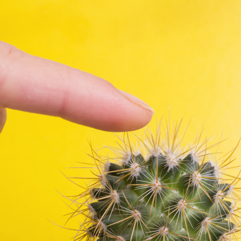 Vinger prikt zich aan cactus | Blog Tijd voor mama Tips voor als je jezelf overprikkeld voelt